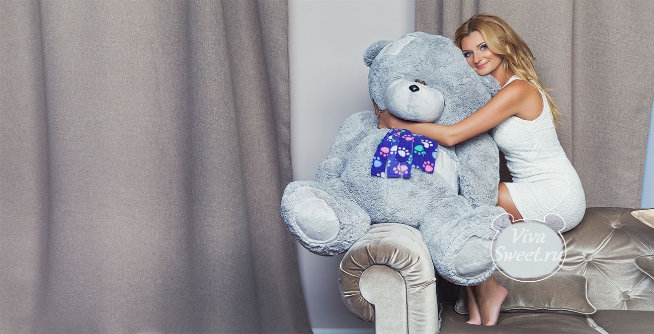 gallery/teddy